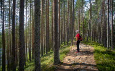 What is Kainuu Arctic Lakeland?